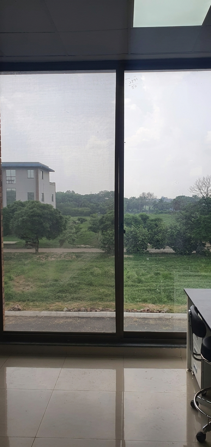 Q Tints premium UV film on full-size office window — actual shade